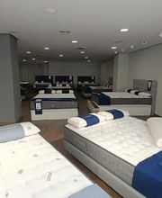 Tienda Flex by Noctalia imagen 2