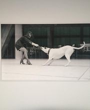 Foto Bild  aufgezogen gerahmt SW