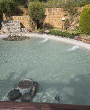 Jardines Vladimir S.L imagen 4