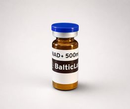 BalticLabs Bild 7