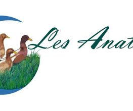 EARL Les Anatides image 3