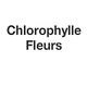 Fleurs Chlorophylle