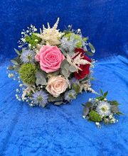 Blumen Haider Bild 18