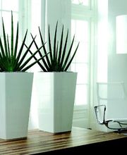 Grün ist Leben e.K. Bild 2