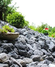 Ribi Gartenbau GmbH Bild 5