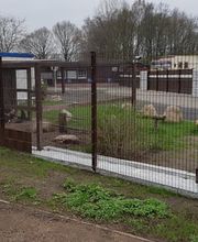 Rüter´s-Zaun-Welt Bild 3