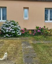 Gaime Doriane image 3