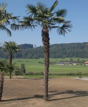 Schefer's Garten GmbH Bild 4