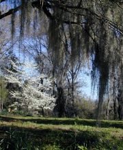 Bestattungsdienst Hedy Linder-Walther AG Bild 3
