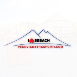Vesuviana Trasporti logo