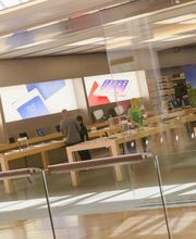 La Toison d'Or image 6