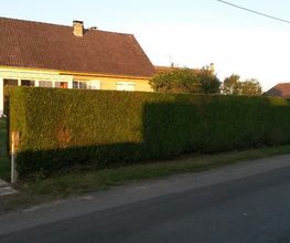 Jardin Tradition image 5