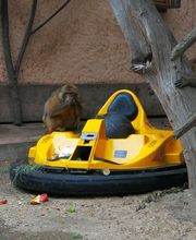 Erlebniswelt Seeteufel Bild 5