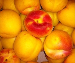 frutas-y-verduras-carmelo-beltran-mangos-04.jpg