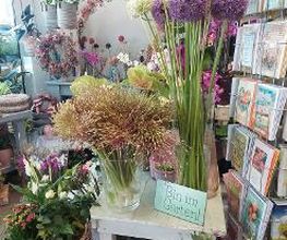 Blumen Dahlmann Bild 16