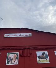 Mascotas gourmet imagen 8