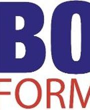 Borg Formation image 4