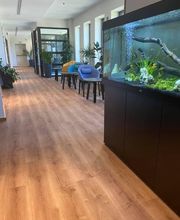 Pompes Funèbres Pimont image 4