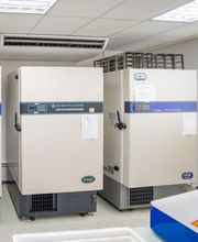 Sabatier Patrick SARL image 20