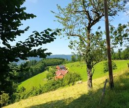 Erholungsblick Bild 7
