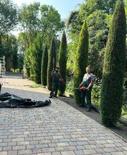 Royal Garden Bild 6