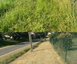 Main verte & Tournevis image 12