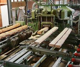 Dahinden Sägewerk AG Bild 2