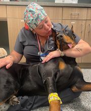 Bedford Oaks Family Vet image 8