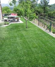 Art & Giardini Sagl Bild 13