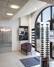 Optique Du Lion image 1