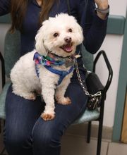 South Putnam Animal Hospital image 15