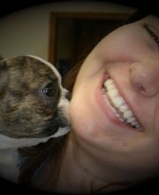 Brentwood Animal Hospital image 17