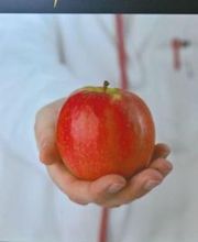 Blanco Diego, M. imagen 2