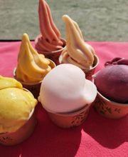 Maxifruit - Sorbets fermiers image 4