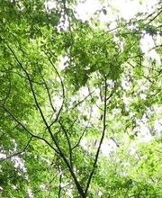 Amandine Bray image 3