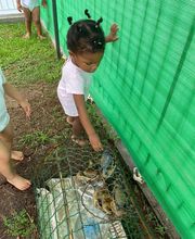 Les Petites Colombes image 4