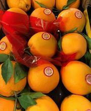 Maison Charai image 16