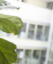 Coop Rechtsschutz AG Bild 6