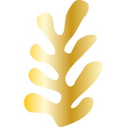 Cevicheria PETIT PACIFICO - Bar à Ceviches et Spécialiste du ceviche caliente Plats à emporter