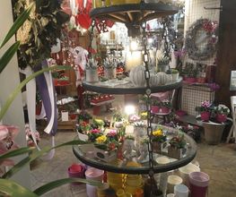 Majas Blumenecke Bild 2