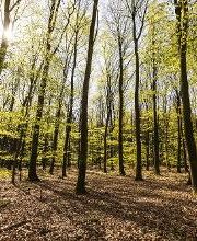 FriedWald Bremervörde Bild 14