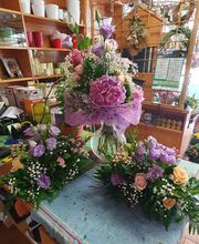 Gallery Cliente