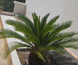 Sud Déco Maçonnerie image 11