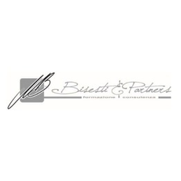Bisesti e Partners Consulting logo