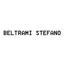 Beltrami Srl logo