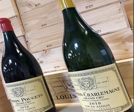 Boutique Louis Jadot image 12