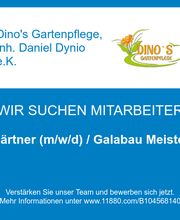 Gärtner (m/w/d) / Galabau Meister