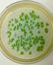 Aquanalyse Laboratoire image 2