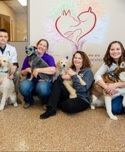 Westside Family Pet Clinic image 7
