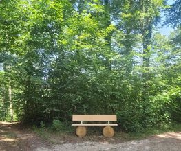FriedWald Starzach Bild 1